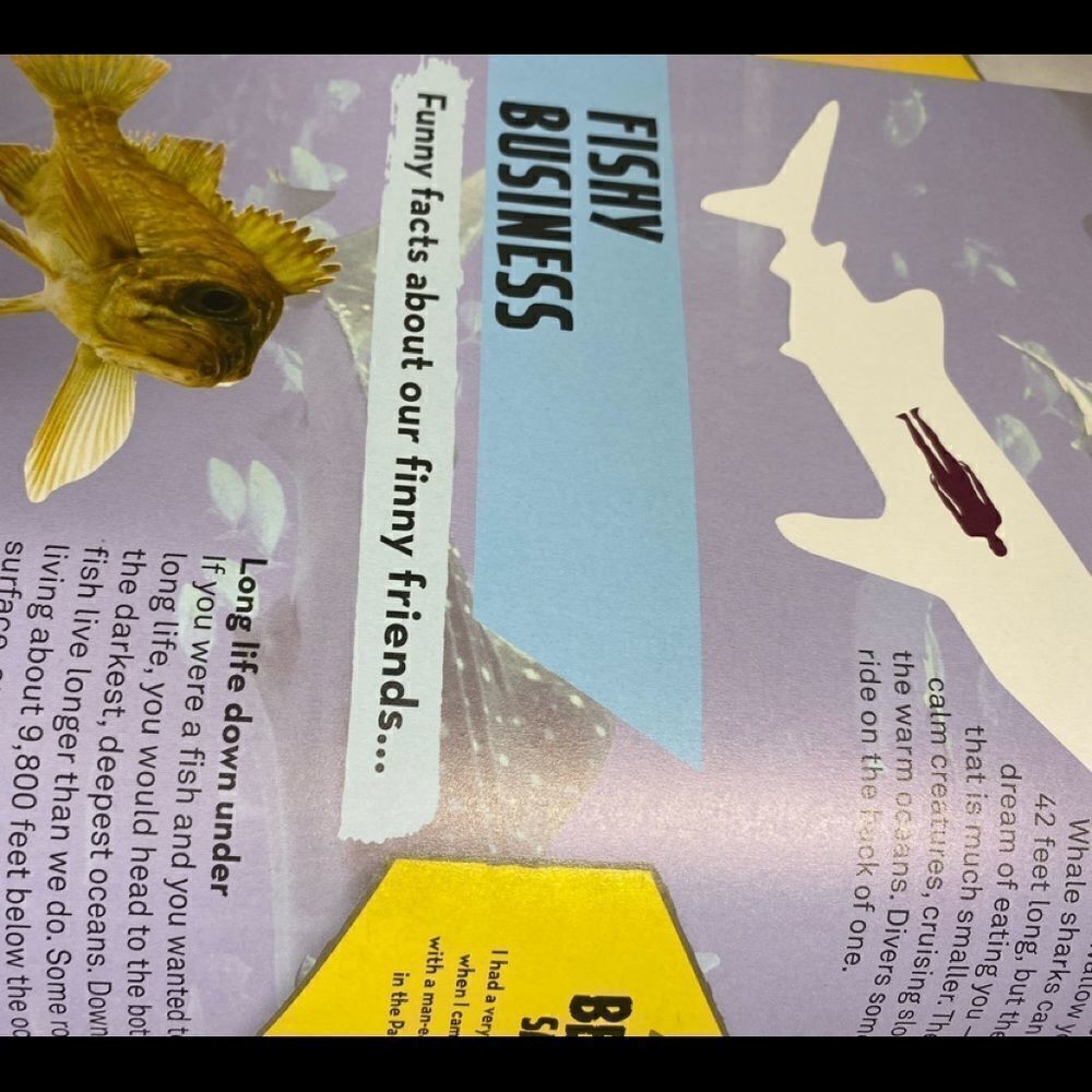 Bear Grylls Extreme Planet book - Picture 11 of 15